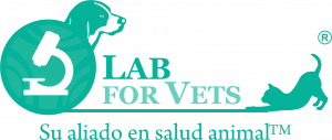 Lab for Vets