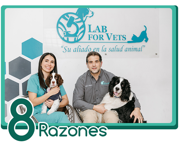 razones para estar en lab