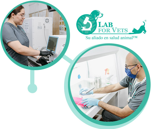 trabaja con nosotros3